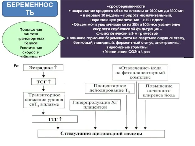 срок беременности возрастание среднего объема плазмы от 2600 мл до 3900