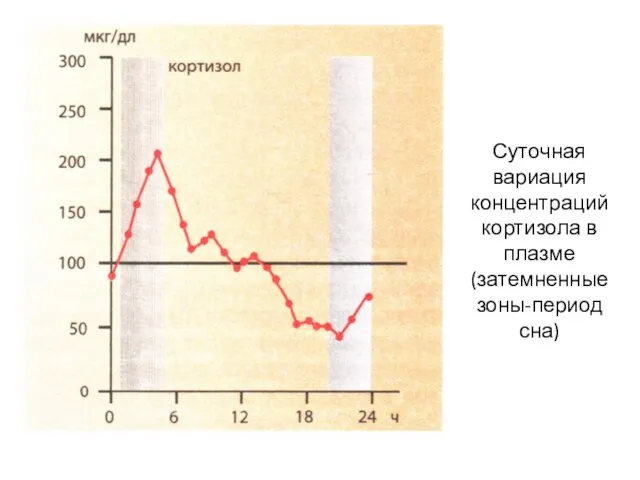 Суточная вариация концентраций кортизола в плазме (затемненные зоны-период сна)