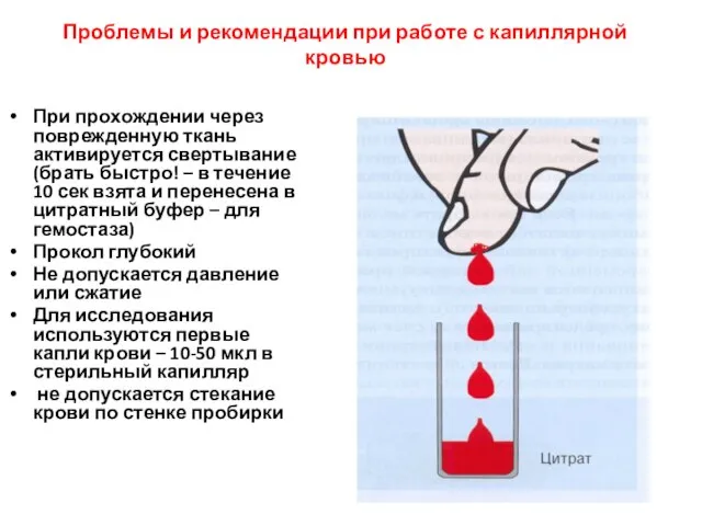 Проблемы и рекомендации при работе с капиллярной кровью При прохождении через