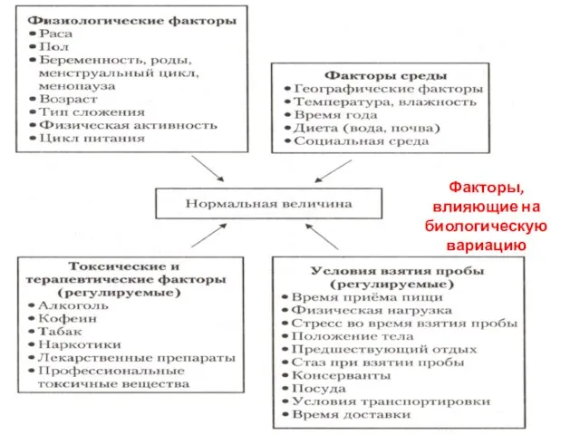 Факторы, влияющие на биологическую вариацию