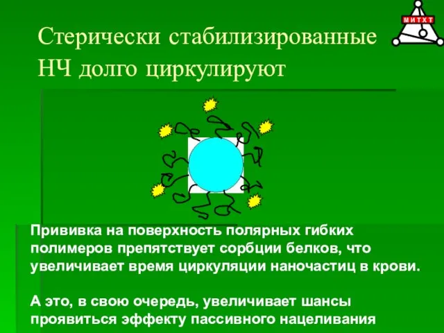 Стерически стабилизированные НЧ долго циркулируют Прививка на поверхность полярных гибких полимеров