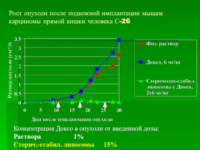 Рост опухоли после подкожной имплантации мышам карциномы прямой кишки человека С-26