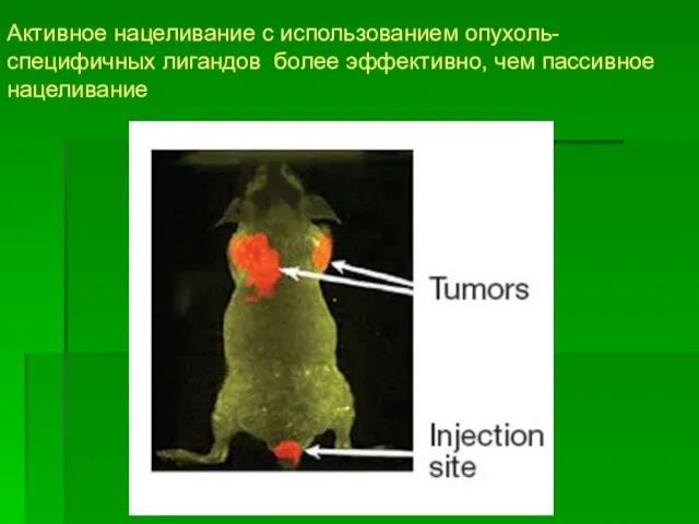 Активное нацеливание с использованием опухоль-специфичных лигандов более эффективно, чем пассивное нацеливание