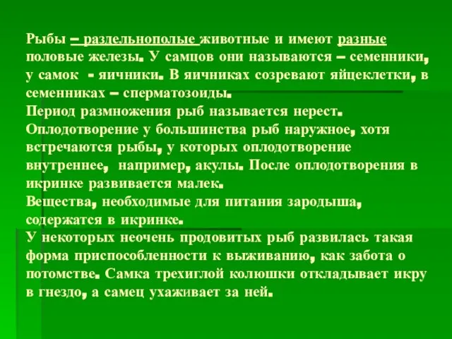 Рыбы – раздельнополые животные и имеют разные половые железы. У самцов