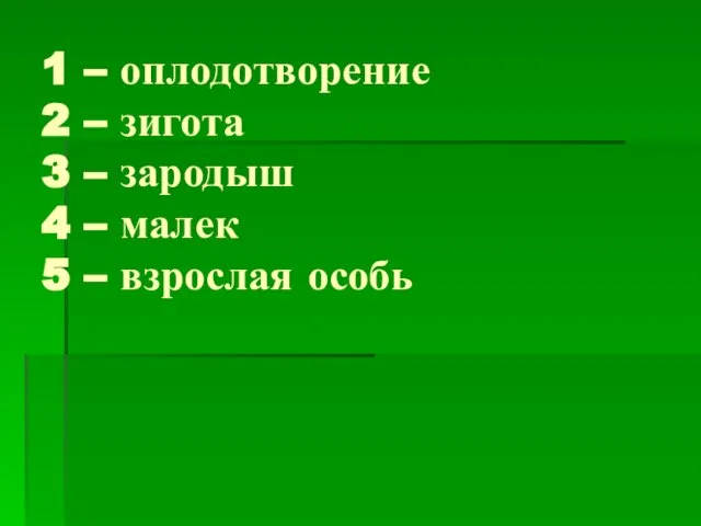 1 – оплодотворение 2 – зигота 3 – зародыш 4 – малек 5 – взрослая особь