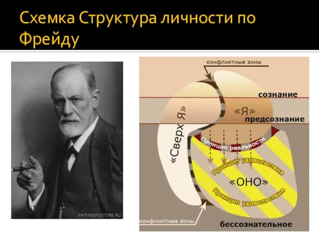 Схемка Структура личности по Фрейду