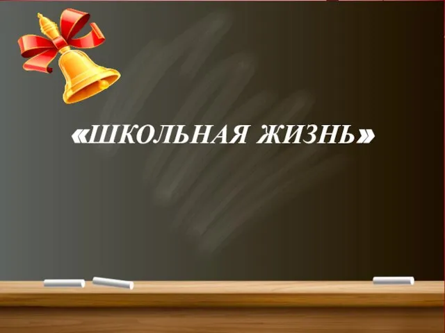 «ШКОЛЬНАЯ ЖИЗНЬ»