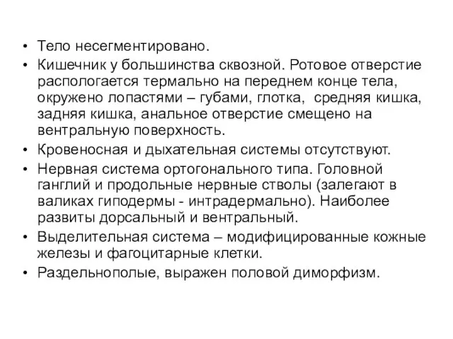 Тело несегментировано. Кишечник у большинства сквозной. Ротовое отверстие распологается термально на