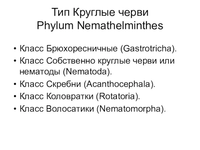 Тип Круглые черви Phylum Nemathelminthes Класс Брюхоресничные (Gastrotricha). Класс Собственно круглые