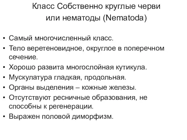 Класс Собственно круглые черви или нематоды (Nematoda) Самый многочисленный класс. Тело