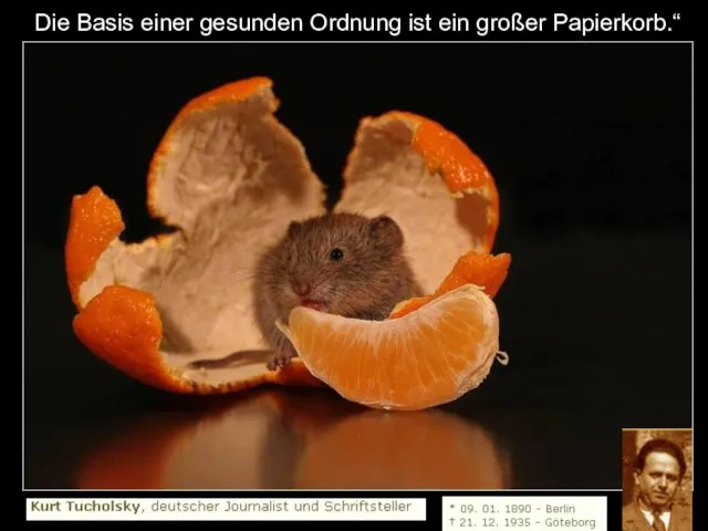 Die Basis einer gesunden Ordnung ist ein großer Papierkorb.“