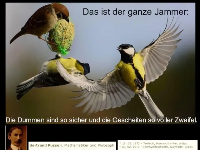 Das ist der ganze Jammer: Die Dummen sind so sicher und die Gescheiten so voller Zweifel.