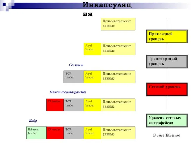 Кадр В сеть Ethernet Пакет (дейтаграмма) Сегмент