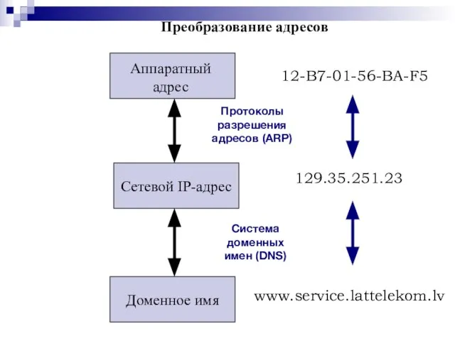 Преобразование адресов Аппаратный адрес Сетевой IP-адрес Доменное имя Протоколы разрешения адресов