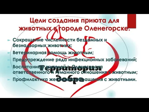 Цели создания приюта для животных в городе Оленегорске: Сокращение численности бездомных