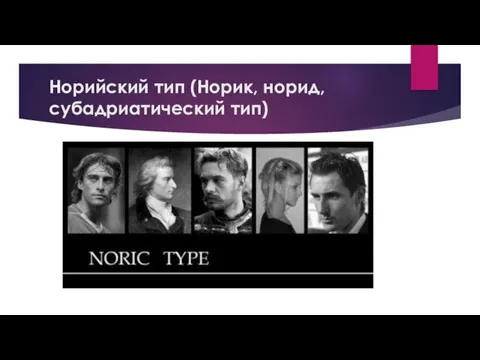 Норийский тип (Норик, норид, субадриатический тип)