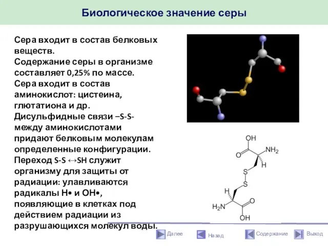 Биологическое значение серы Назад Сера входит в состав белковых веществ. Содержание