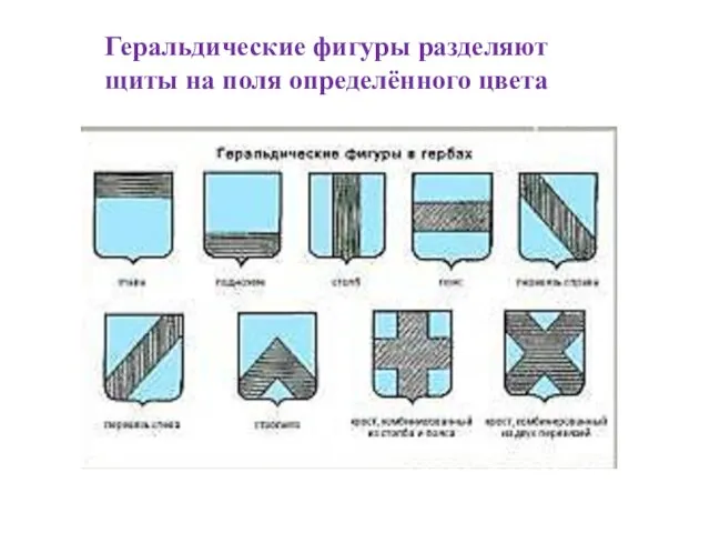 Геральдические фигуры разделяют щиты на поля определённого цвета