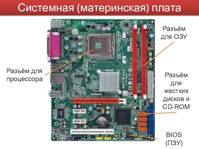 Системная (материнская) плата Разъём для ОЗУ BIOS (ПЗУ) Разъём для жестких