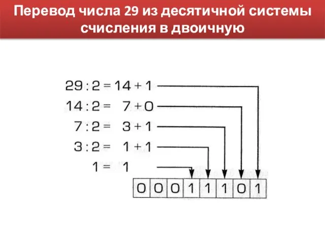 Перевод числа 29 из десятичной системы счисления в двоичную