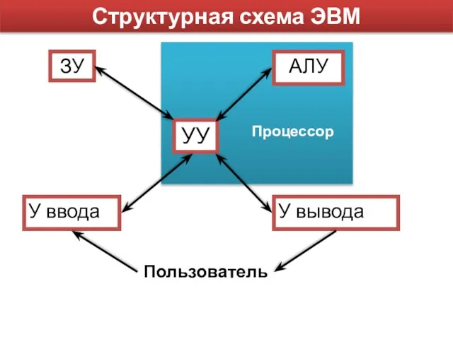 Структурная схема ЭВМ УУ ЗУ У вывода У ввода АЛУ Пользователь Процессор