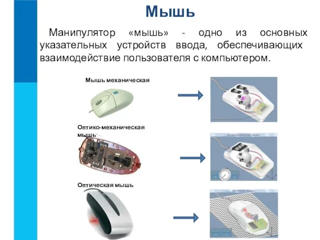 Мышь Манипулятор «мышь» - одно из основных указательных устройств ввода, обеспечивающих