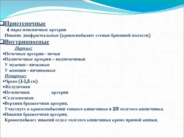 Пристеночные 4 пары поясничные артерии Нижние диафрагмальные (кровоснабжают стенки брюшной полости)