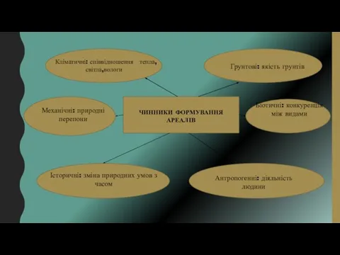 ЧИННИКИ ФОРМУВАННЯ АРЕАЛІВ Кліматичні: співвідношення тепла,світла,вологи Грунтові: якість грунтів Механічні: природні