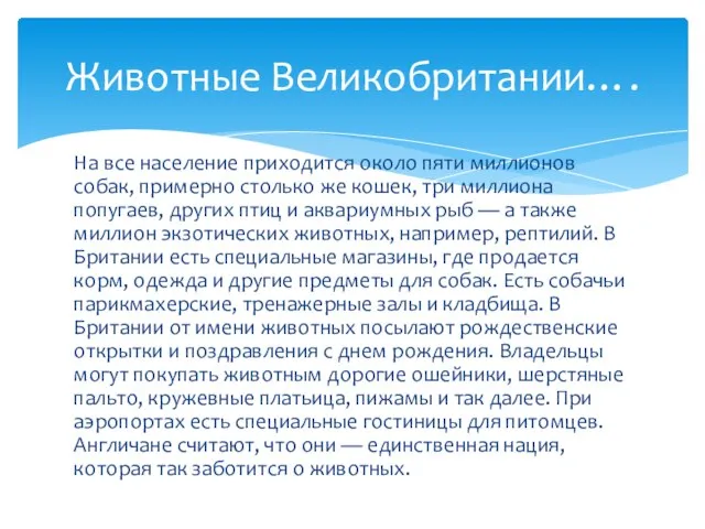 На все население приходится около пяти миллионов собак, примерно столько же