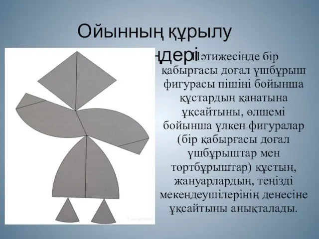 Нәтижесінде бір қабырғасы доғал үшбұрыш фигурасы пішіні бойынша құстардың қанатына ұқсайтыны,