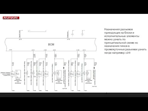 Назначения разъемов приходящих на блоки и исполнительные элементы можно узнать по