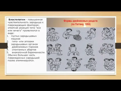 Бластопатии - повышенная чувствительность зародыша к повреждающим факторам; ответная реакция типа