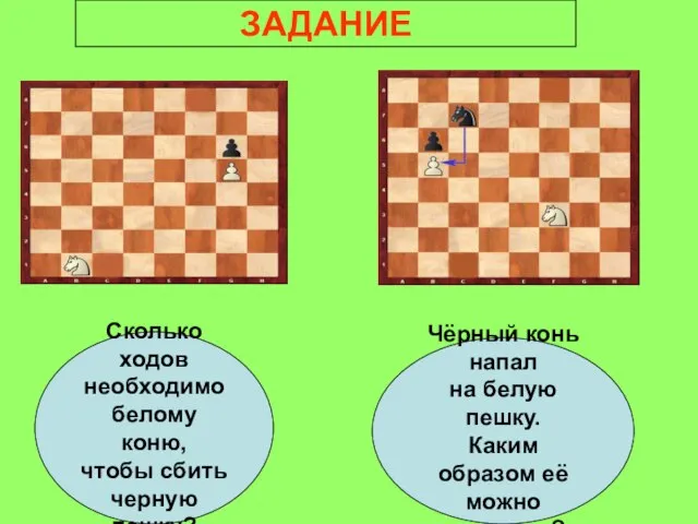 Сколько ходов необходимо белому коню, чтобы сбить черную пешку? Чёрный конь