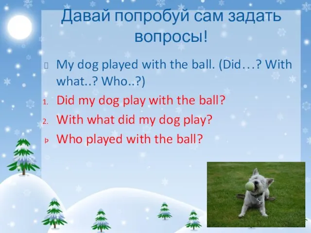 Давай попробуй сам задать вопросы! My dog played with the ball.