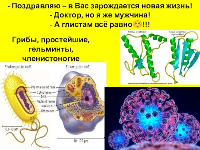 - Поздравляю – в Вас зарождается новая жизнь! - Доктор, но