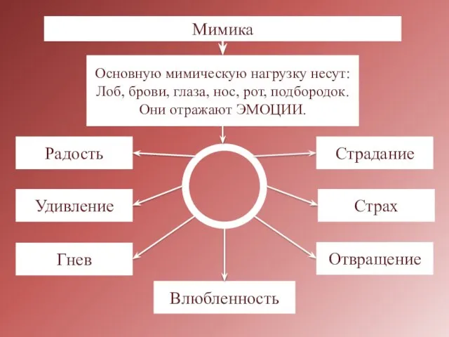 Мимика Радость Удивление Гнев Страдание Страх Отвращение Влюбленность Основную мимическую нагрузку