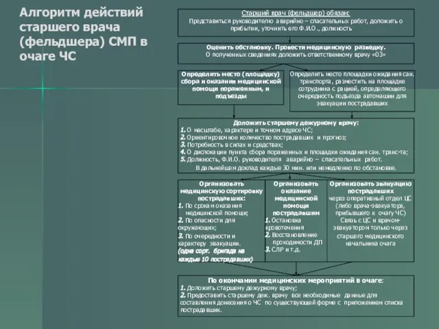 Алгоритм действий старшего врача (фельдшера) СМП в очаге ЧС