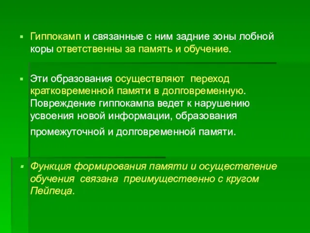 Гиппокамп и связанные с ним задние зоны лобной коры ответственны за