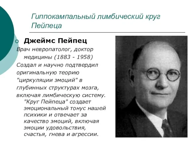 Гиппокампальный лимбический круг Пейпеца Джеймс Пейпец Врач невропатолог, доктор медицины (1883