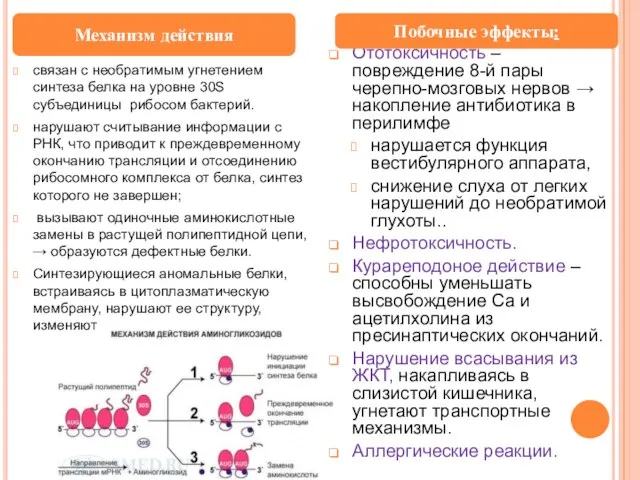 связан с необратимым угнетением синтеза белка на уровне 30S субъединицы рибосом