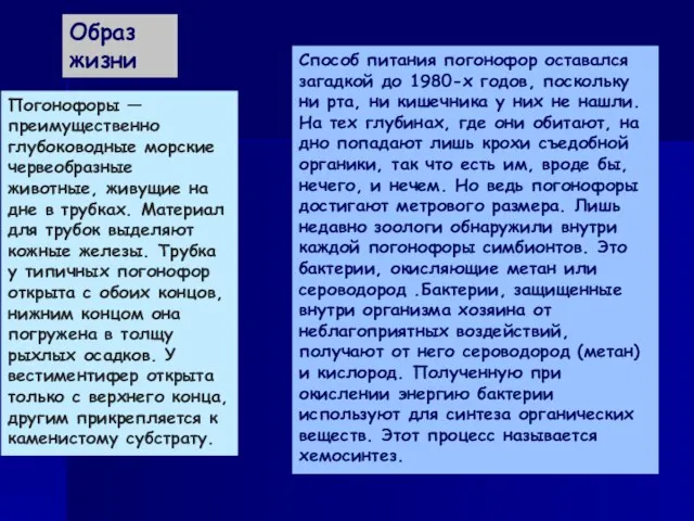 Образ жизни Погонофоры — преимущественно глубоководные морские червеобразные животные, живущие на