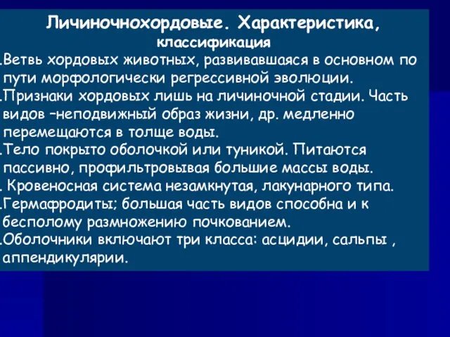 Личиночнохордовые. Характеристика, классификация Ветвь хордовых животных, развивавшаяся в основном по пути