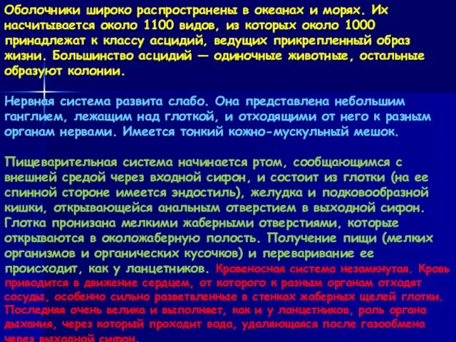 Оболочники широко распространены в океанах и морях. Их насчитывается около 1100