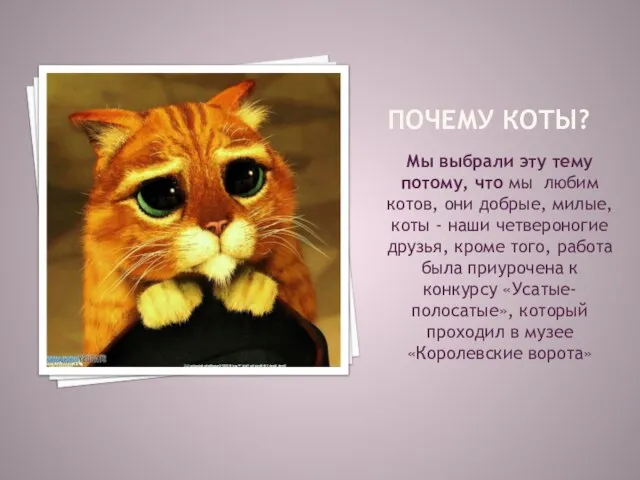 ПОЧЕМУ КОТЫ? Мы выбрали эту тему потому, что мы любим котов,