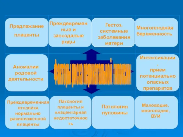 Патология плаценты и плацентарная недостаточность Интоксикации, прием потенциально опасных препаратов Предлежание