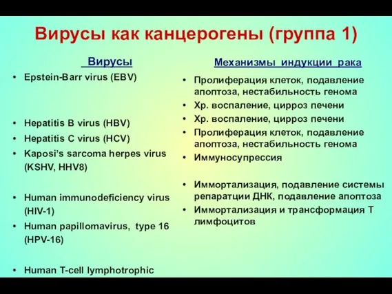 Вирусы как канцерогены (группа 1) Вирусы Epstein-Barr virus (EBV) Hepatitis B