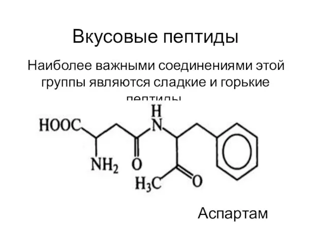 Вкусовые пептиды Наиболее важными соединениями этой группы являются сладкие и горькие пептиды. Аспартам