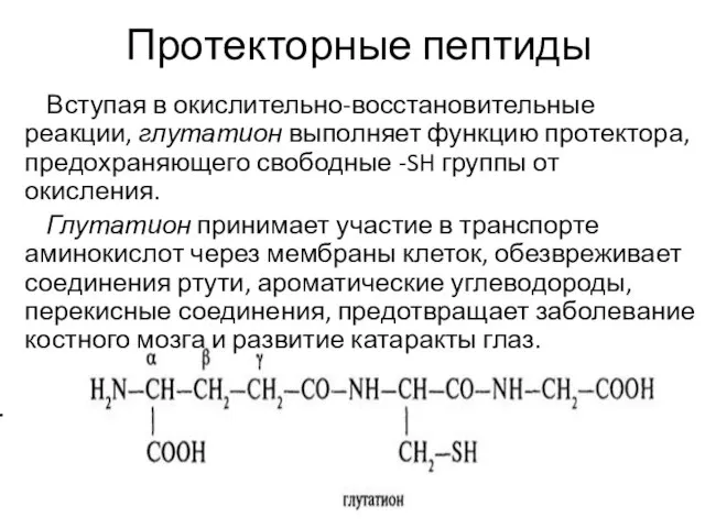 Протекторные пептиды Вступая в окислительно-восстановительные реакции, глутатион выполняет функцию протектора, предохраняющего