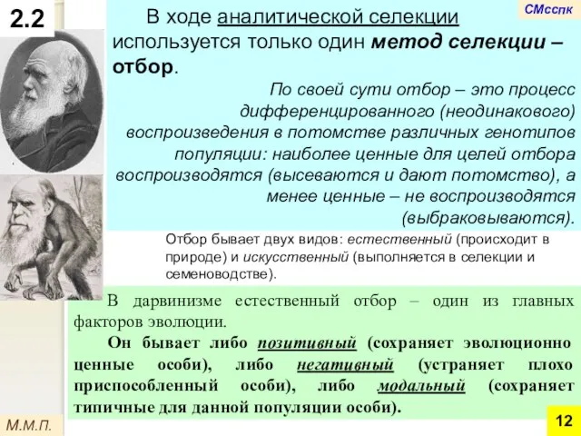 В ходе аналитической селекции используется только один метод селекции – отбор.