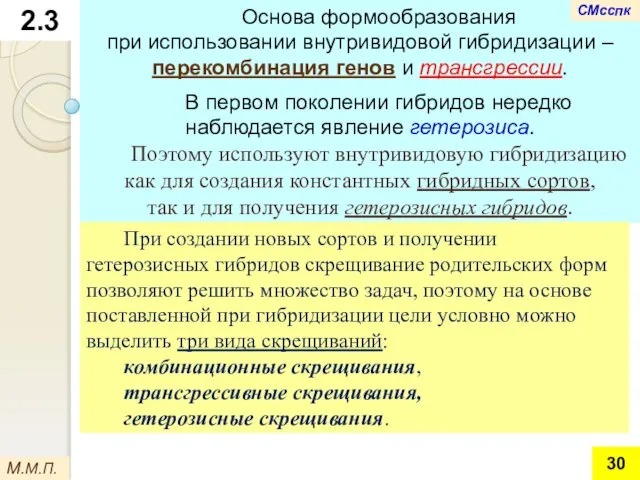 Основа формообразования при использовании внутривидовой гибридизации – перекомбинация генов и трансгрессии.